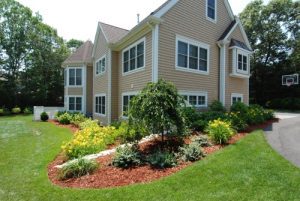 professional exterior painting in houston tx