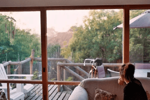 Signs You Need Replacement Windows Before Damage Spreads